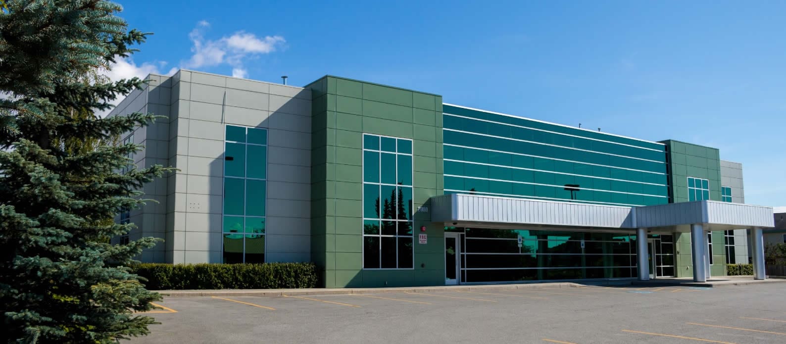 Abbott medical